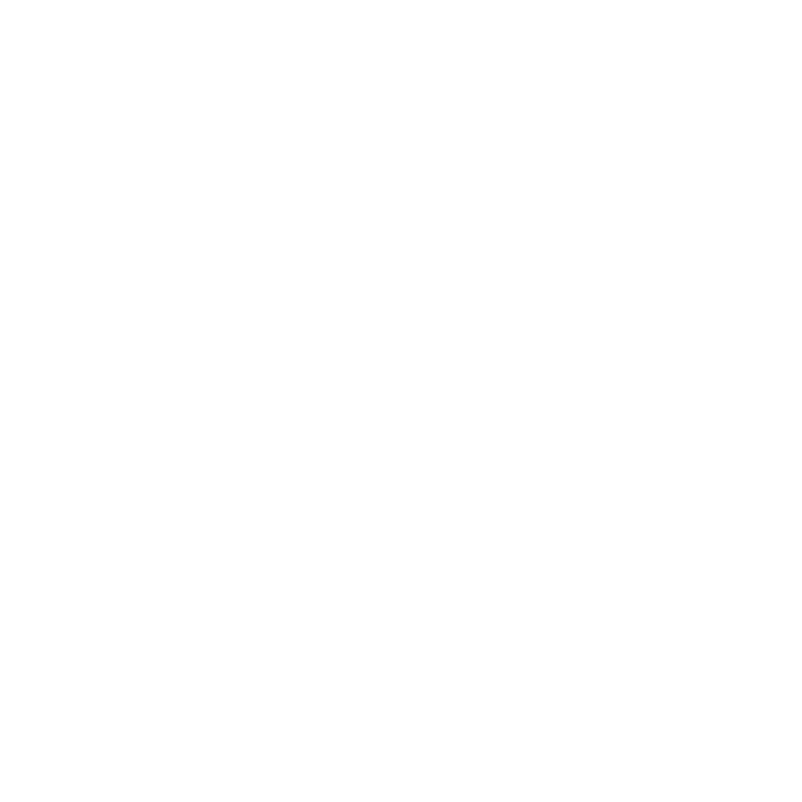 100% power backup